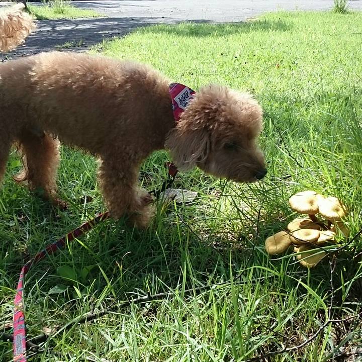 640689a1 a29b 4754 a8e2 87ec3e092d2a