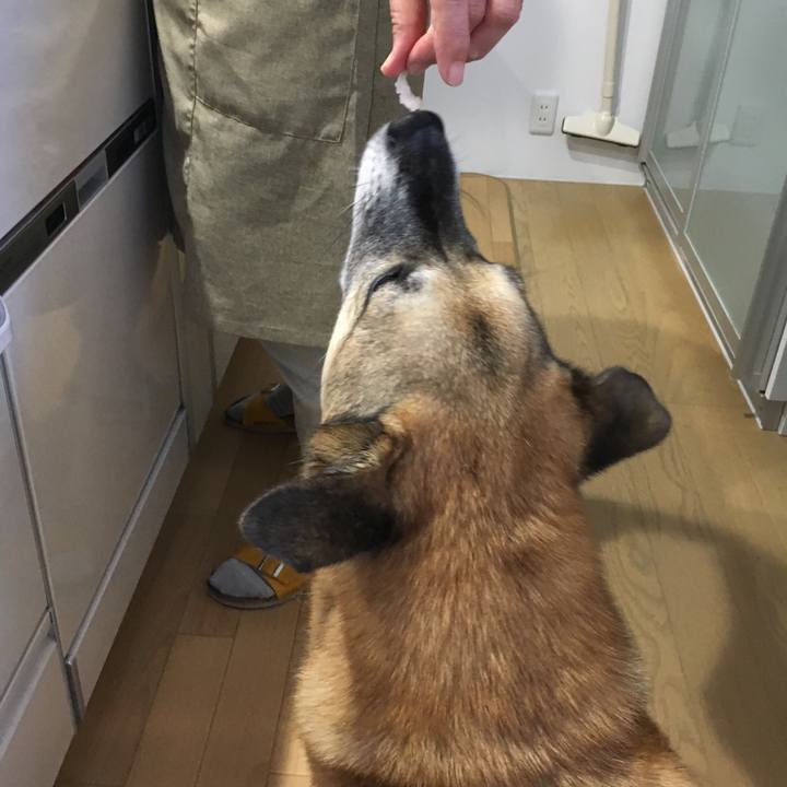 6406ef09 2cd6 4241 88b1 e617b688f15a