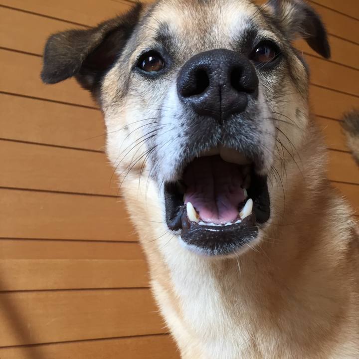 6407bced c115 431a 8cf0 49f0a9eb0d96