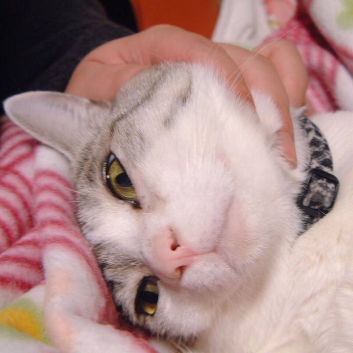 6407db41 414d 40c3 ac44 81854d5fda8d