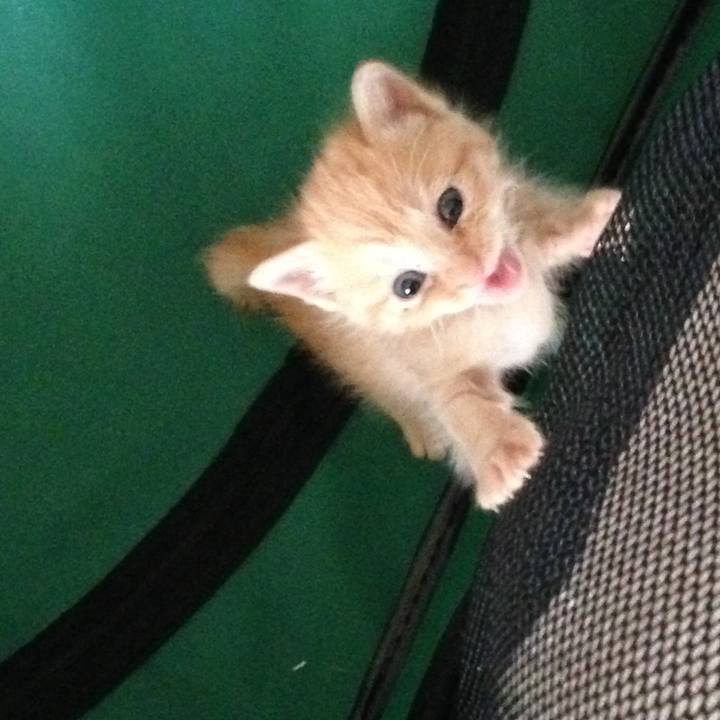 64084eec c860 4b74 8784 7a4015544bcc