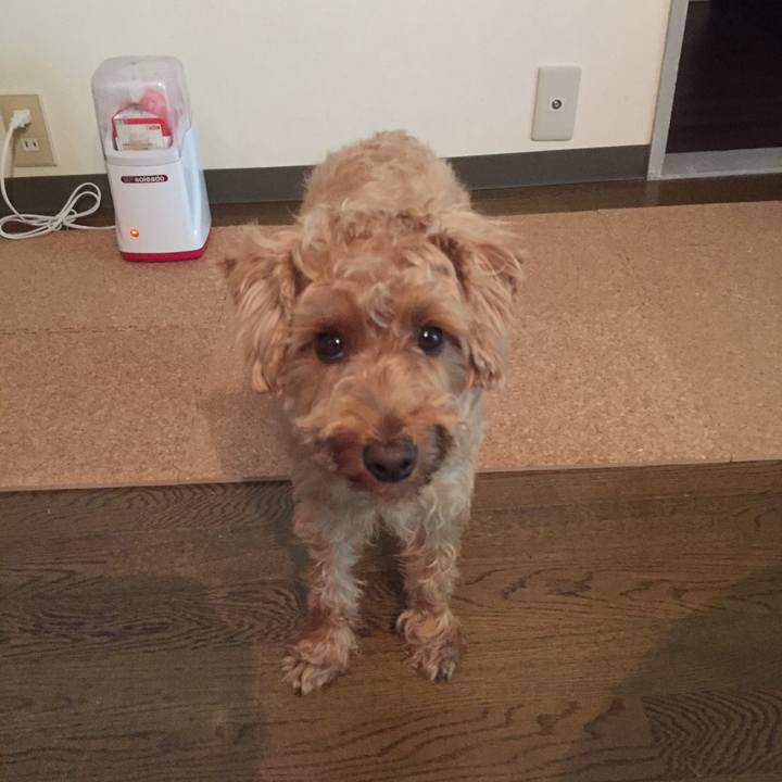 640954e4 be49 4da5 a74e fb4260f50a35