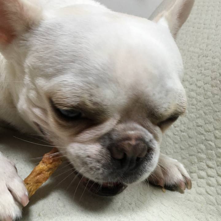 64098e0c 1998 48bc b995 e7cc73669590