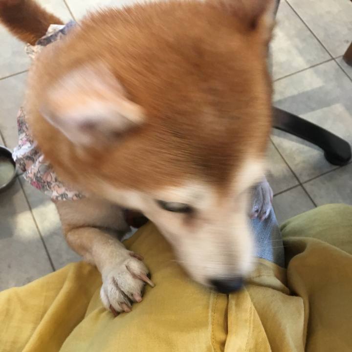 640a751c 294b 4d34 b3d7 e20a544c75a6