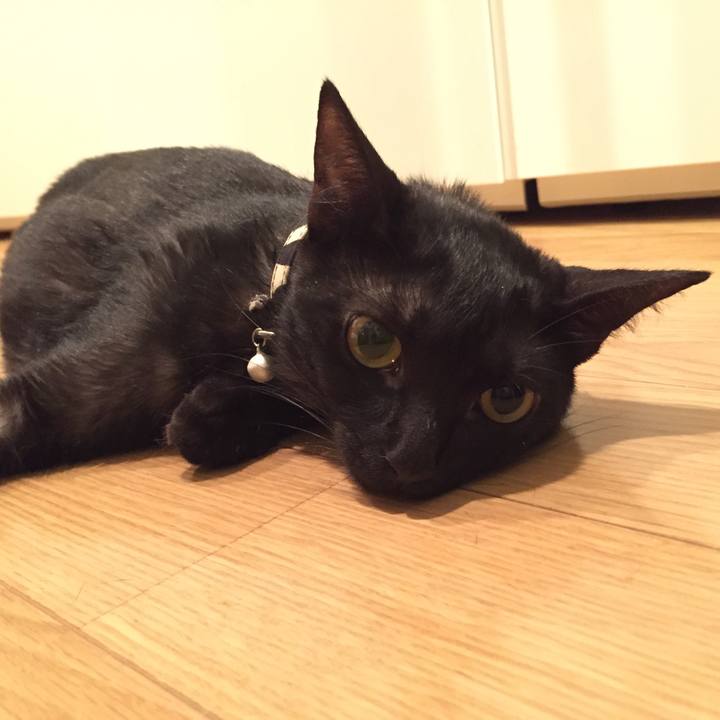 640b0177 9d0a 4727 945e 288968ddc515