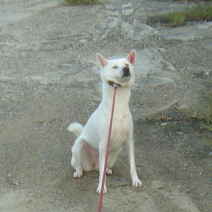 640c2335 d7b8 42e9 a6bd 3bca1c480cdb