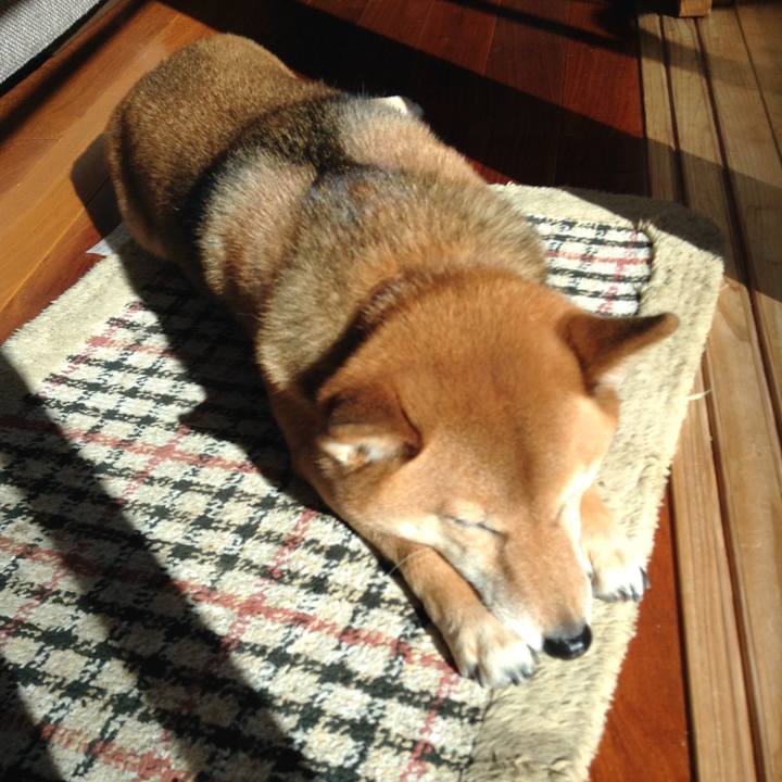 640c2899 e867 483e b335 066fcd73684c