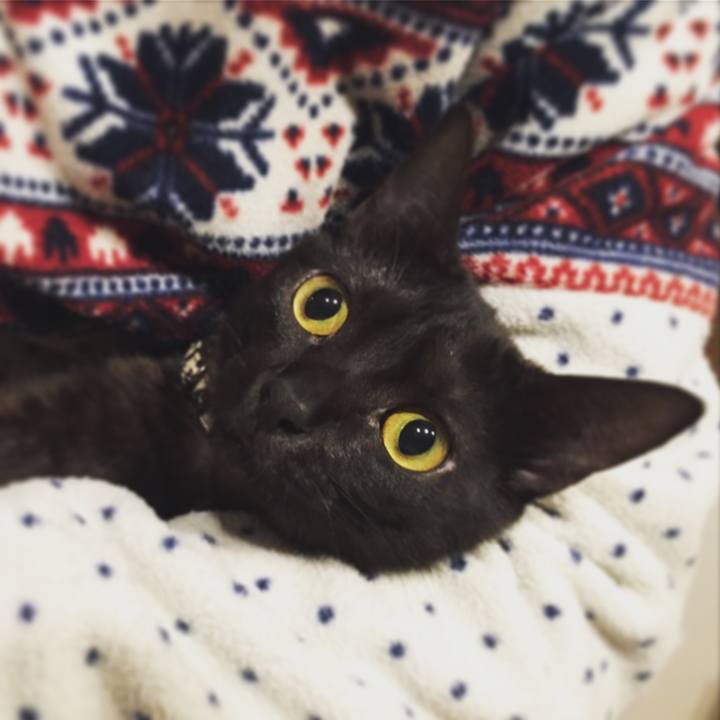 640c4650 328e 4845 8507 ce5653acfe0e