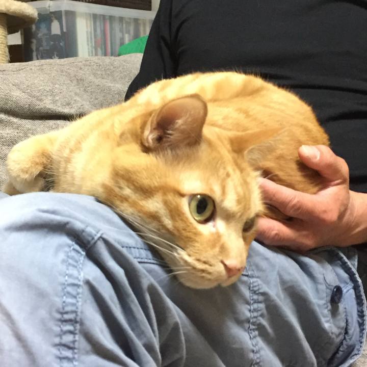 640c4716 e3cc 4ac7 bb4d f9fb1af6f82f