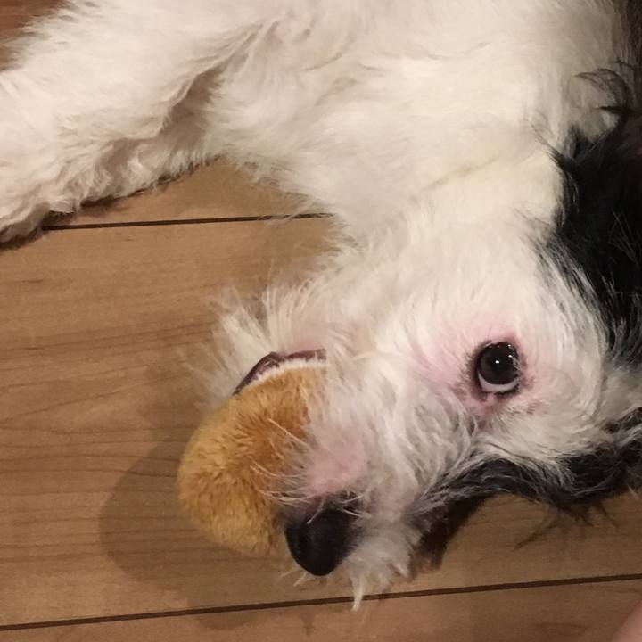 640c843a a676 4cae a600 515630ce9ca7