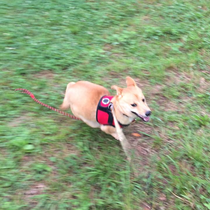 640cdef0 f2c7 4f71 850d a92bbf5f0076