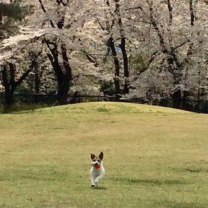 640d90a4 ec91 4e3d b8ec 63b599c9f445