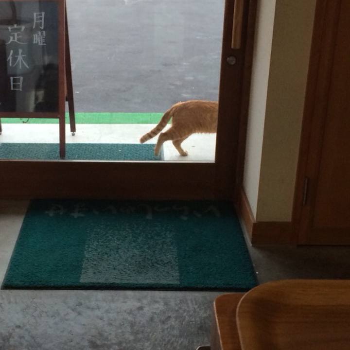 640da688 aadc 432e befe 7b5acc28658a