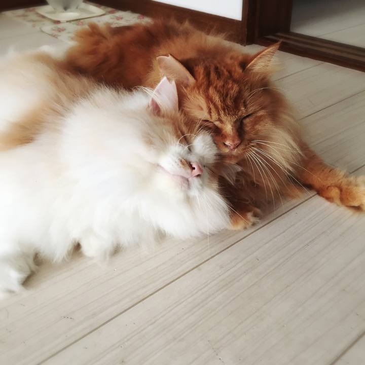 640e028a 12c5 4604 a9f8 df4bfed4e4ba