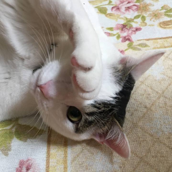 640e4e08 4042 4e07 9fd9 d9e9e99f77b3