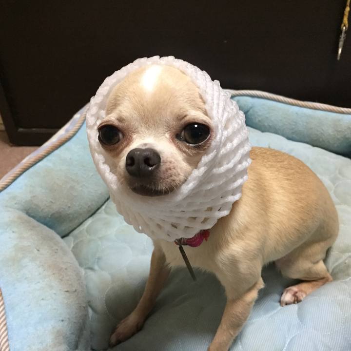 640ec2a4 14b7 48c2 9b3b 479e8675d82d