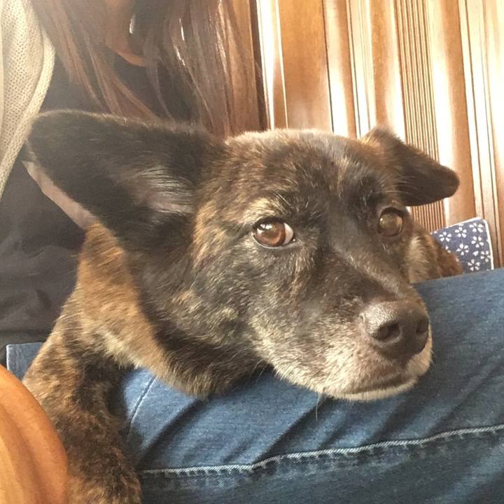 640f7a65 0838 495a bb5f 0ee49d6b1005