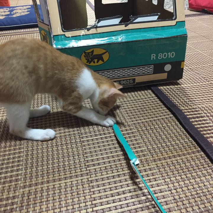 641011af 0d8c 47cc 83e3 407a60e9d598