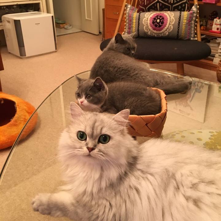 64108982 3bd0 4fa1 b4f2 01b15334e1b6