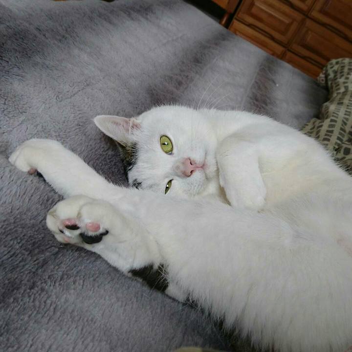 6410ae34 2042 4d10 a052 c5d5b79846af