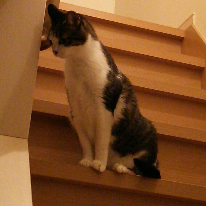 6411467a 370e 4ac3 8b9b 0ca5a8c4d6cf