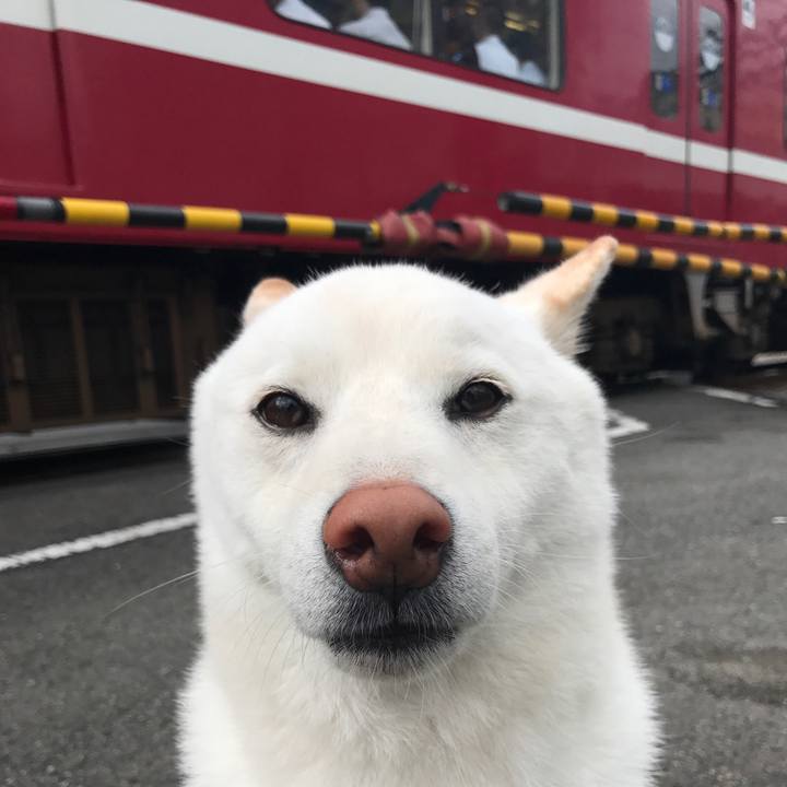 641165d2 d650 47d4 bb02 56ec8ffee89a