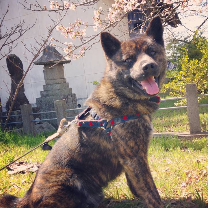 6411f10e fdbe 4649 8ffd e4742c77a4b0