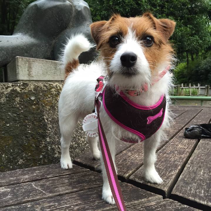 6411f39b 0fc5 4cde af83 ad08ba81f2b3