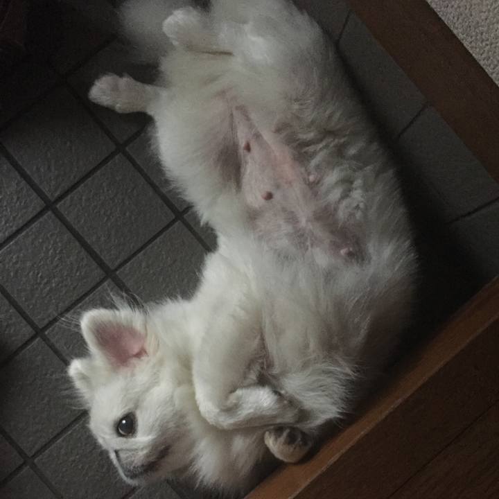 64123521 6cec 4537 96a2 ed37b8c5135e