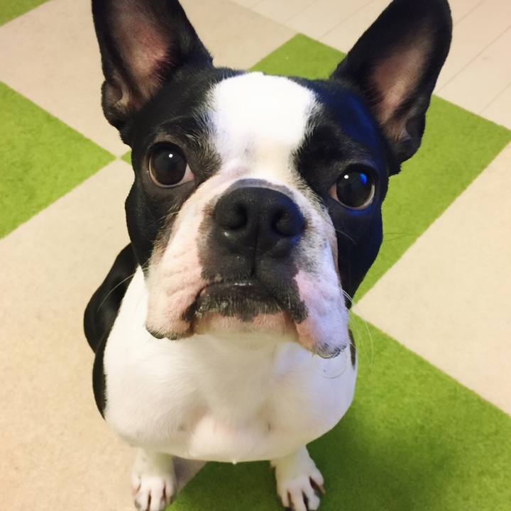 64123792 cd5a 4bf9 93a9 2127f0dabe0e