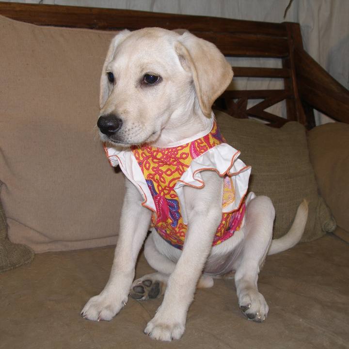 6412f63d 78e0 4e93 bb3a d5c0c7eda56a