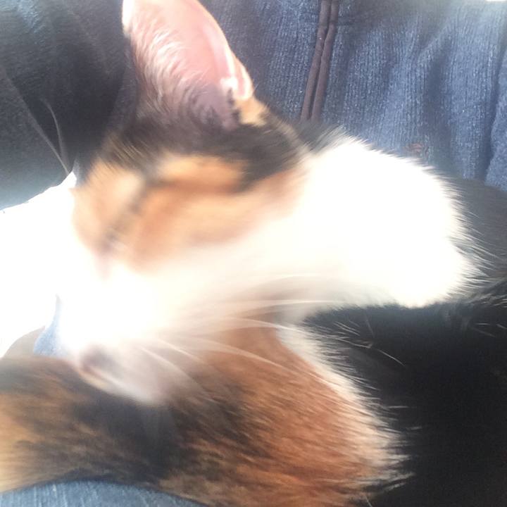 6413200e 79af 4345 aa5e 70a8e579eaf8