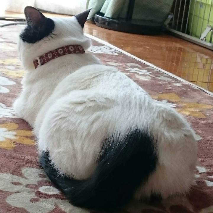 6413b4fe f8f6 4619 afa8 73c490a50131