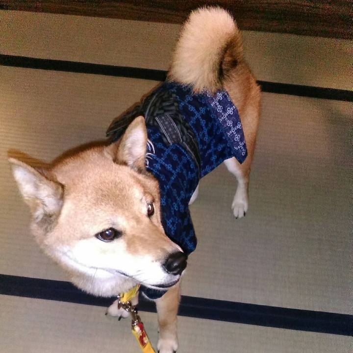 64142a5a 6eae 4f8a bb18 651120fd77ec