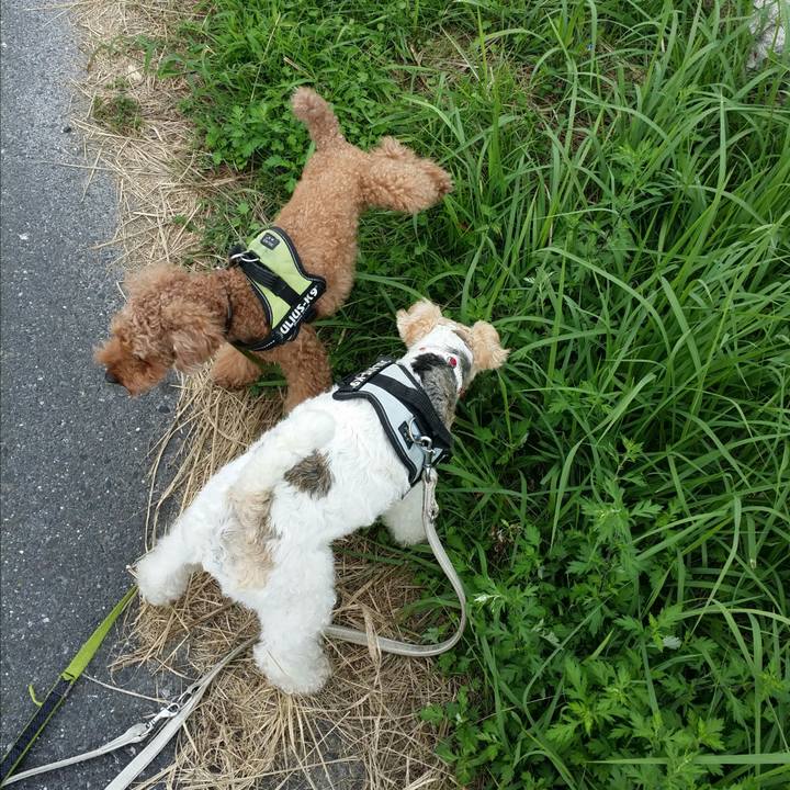 64147b0e e0fd 4acb 94d1 ed18a8909271