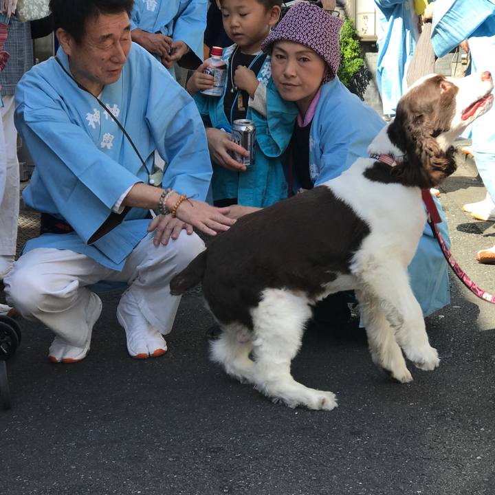 64148a75 c93f 4914 ad05 67c29db00873