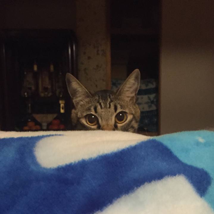 6414dee1 2edd 40e5 9465 db892551c423