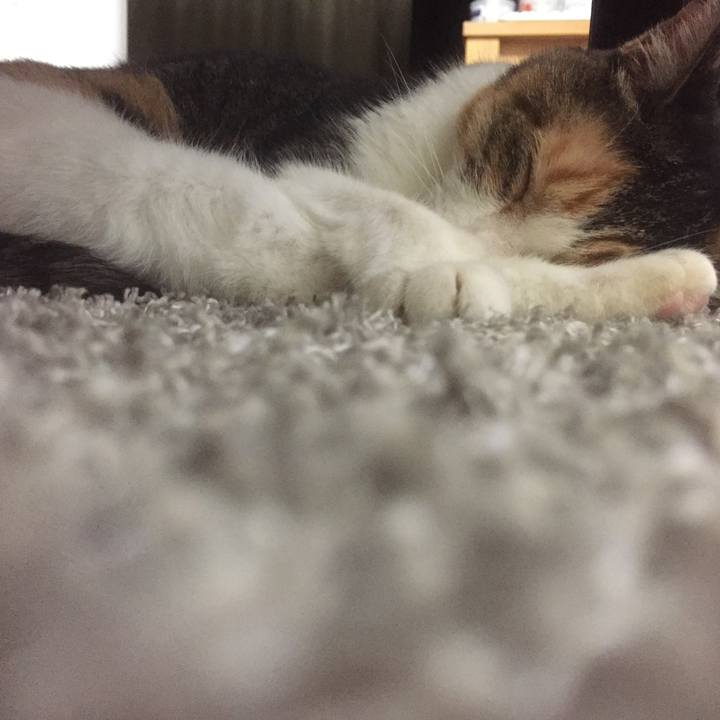 6415183c d747 4efe bbcc a597dde1b34a