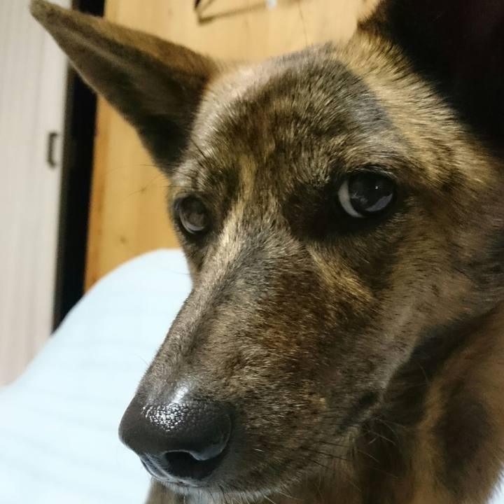 6415ed56 845c 4663 a097 7674f8874f70