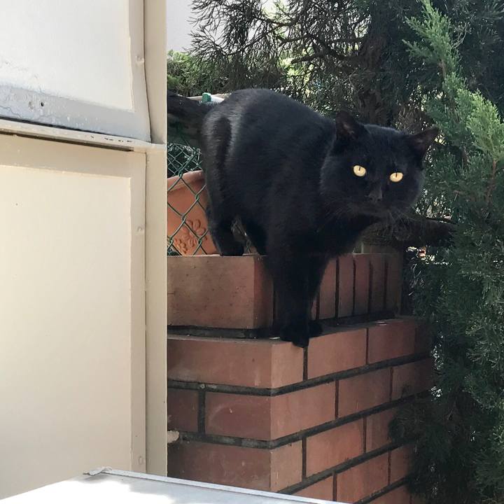 64163d3b 20c3 4792 b7bd 711104257570