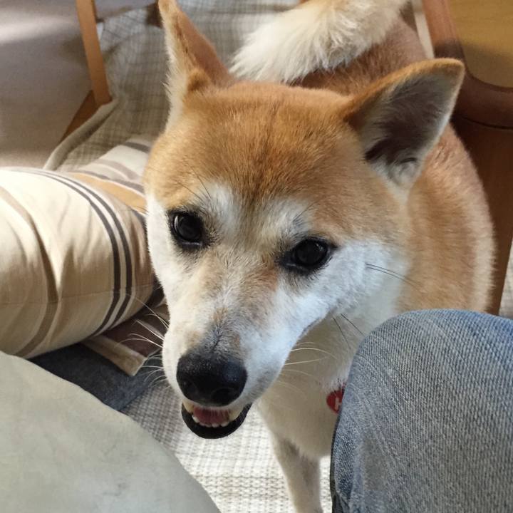 64168283 ca34 46e6 a679 44373c003c46