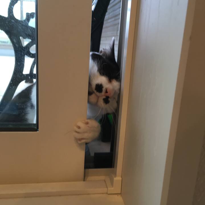 64168af1 8619 4023 9a3f f5916ec3cd51