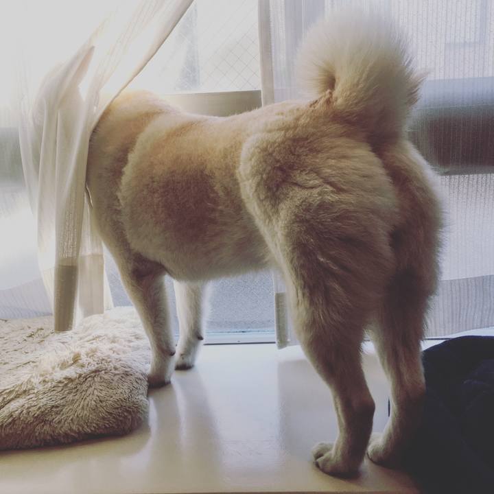 64169319 42b4 45eb 9bef 6004112ff645