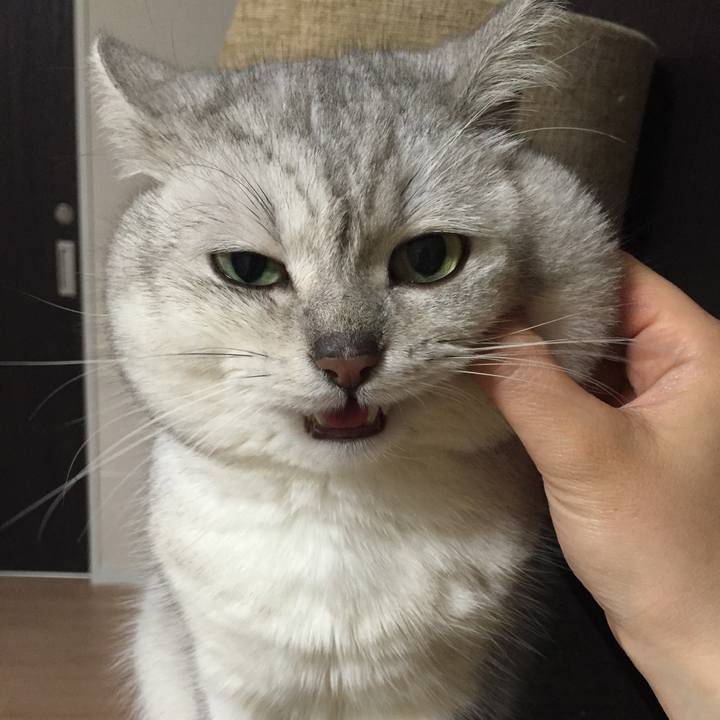 64172755 099c 458e a767 1b5ccc2b427f