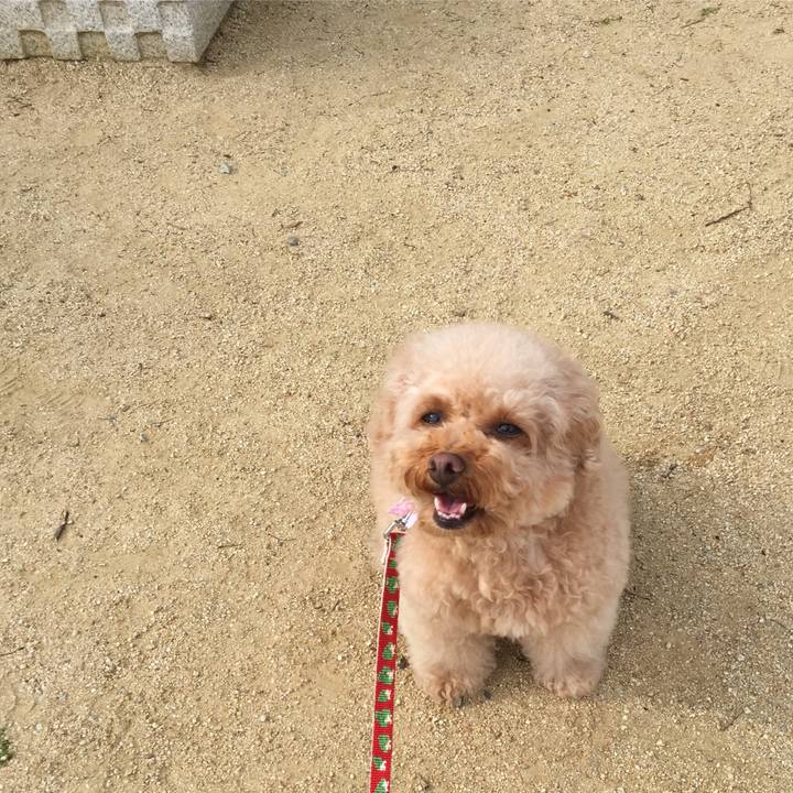 64172936 ad68 474f a35b 242dd8a3eee2