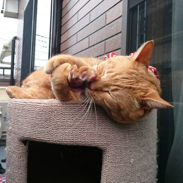 64173524 a415 45e1 aae8 be7995a6bca4