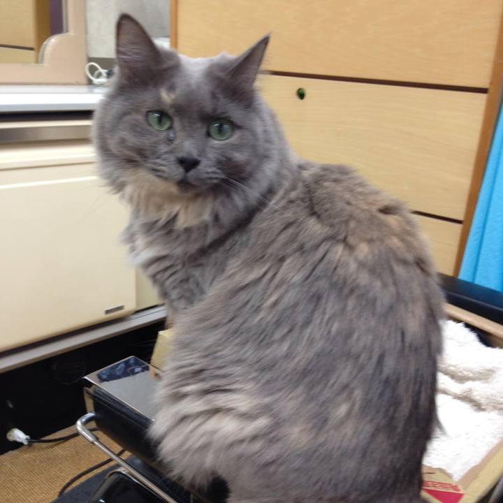 64177f22 1e3b 46bc 9fcf 80f1f7cc98c0