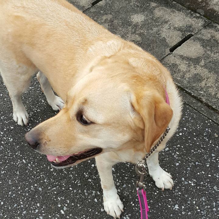 64178551 d96b 4922 9fc2 f9eee328c9a8