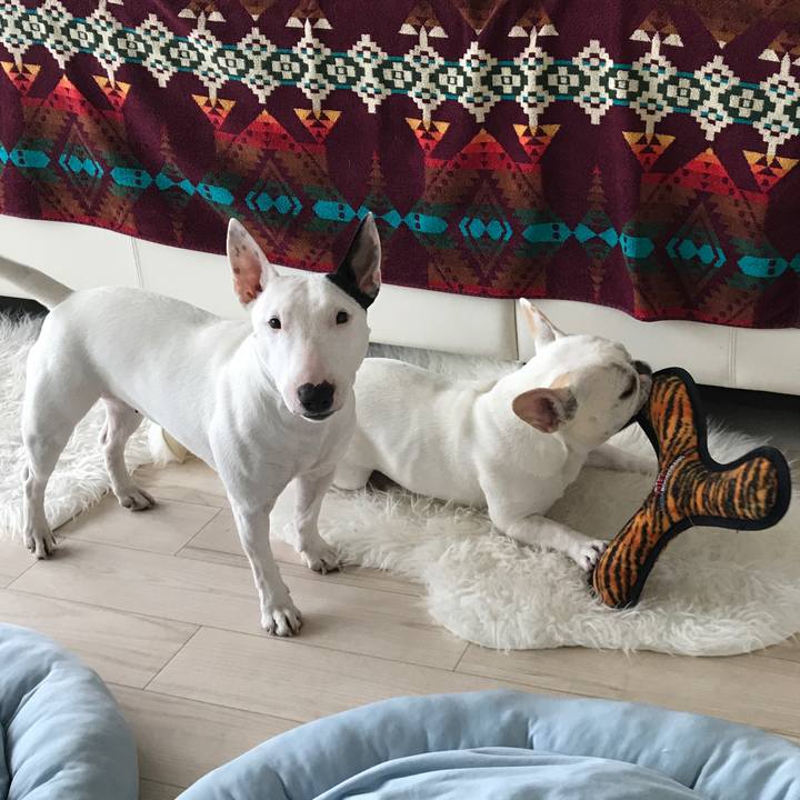 6417c0a7 19cc 4588 9357 fe6793d1d091