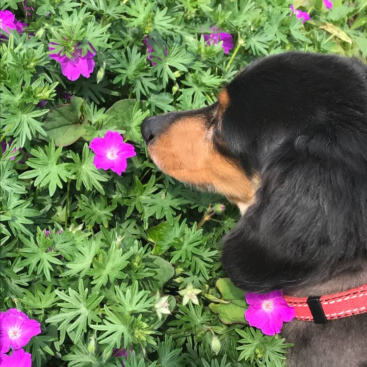 64181207 e4fc 4428 8cfd ba5030bdd82e